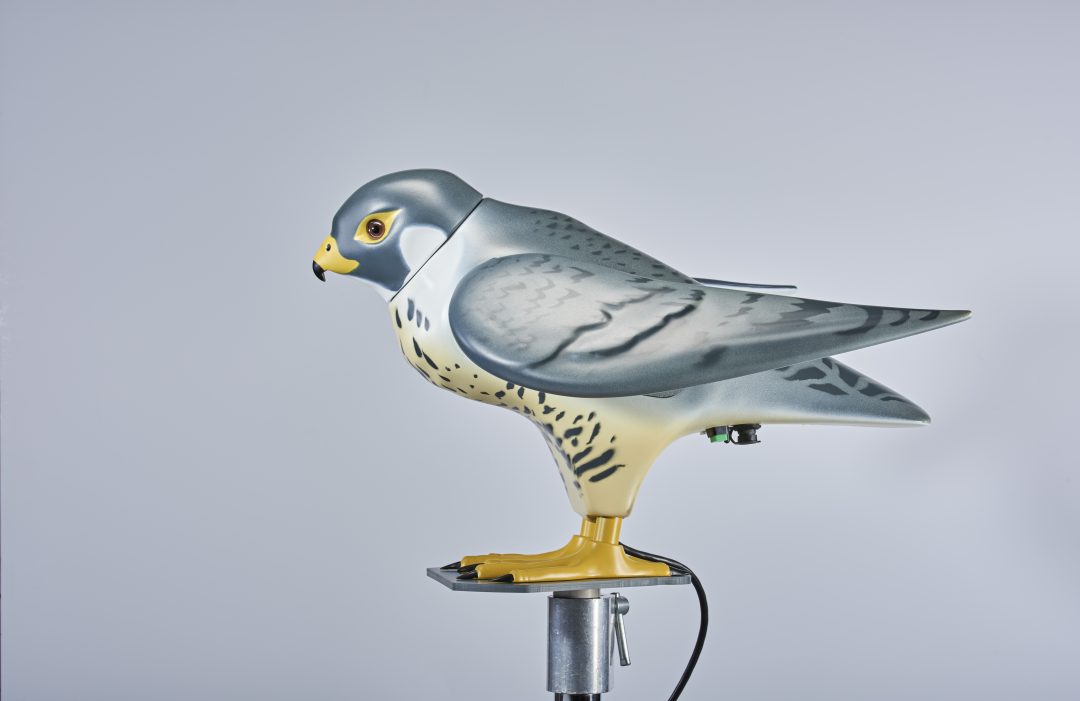 R:Falcon Bird Deterrent